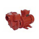 Iseimev pump